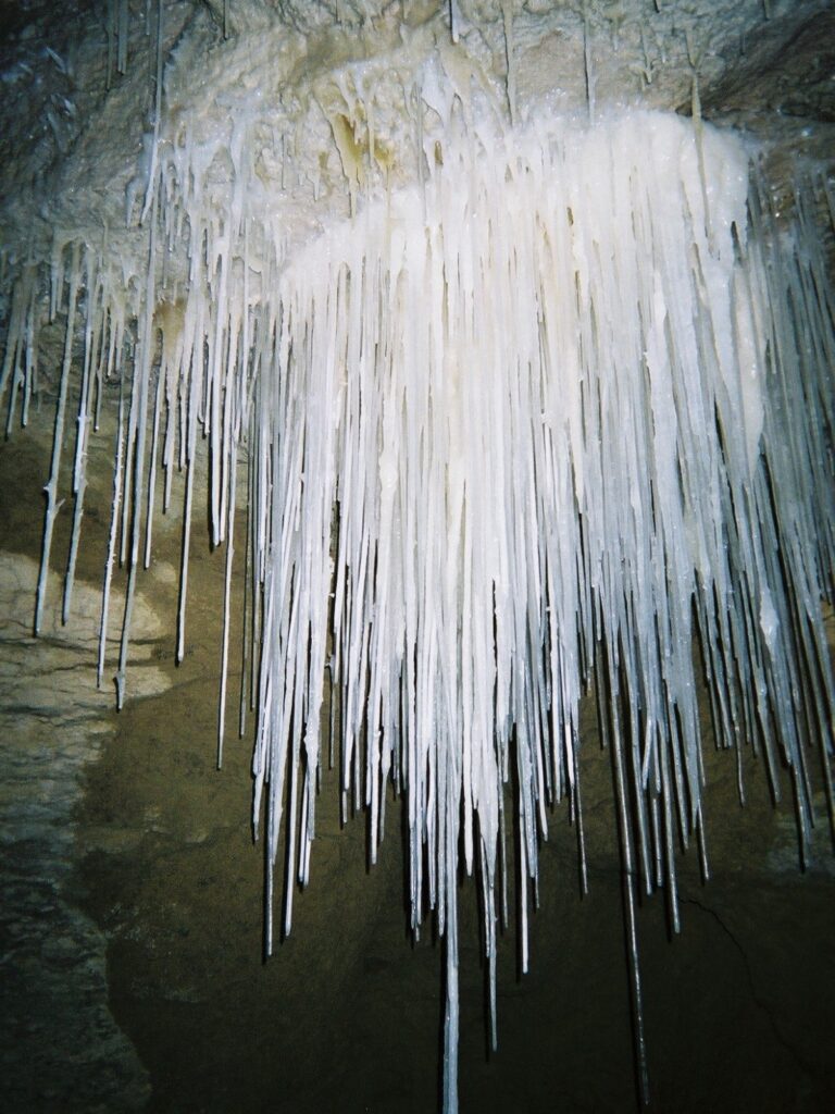 Soda straws in Gardner's Gut cave in New Zealand.