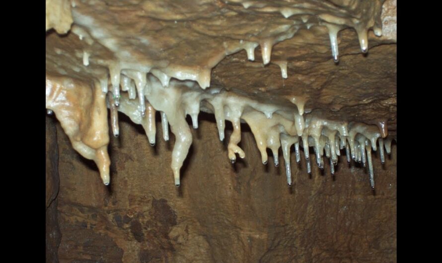 Donaldson Cave (West Virginia)